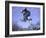 Skateboarder in Midair Doing a Trick-null-Framed Photographic Print