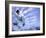 Skateboarder in Midair-null-Framed Photographic Print