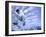 Skateboarder in Midair-null-Framed Photographic Print