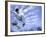 Skateboarder in Midair-null-Framed Photographic Print