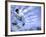 Skateboarder in Midair-null-Framed Photographic Print