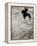 Skateboarder Performing Tricks-null-Framed Premier Image Canvas