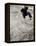 Skateboarder Performing Tricks-null-Framed Premier Image Canvas