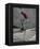 Skateboarder Performing Tricks-null-Framed Premier Image Canvas