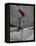 Skateboarder Performing Tricks-null-Framed Premier Image Canvas