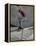 Skateboarder Performing Tricks-null-Framed Premier Image Canvas