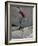 Skateboarder Performing Tricks-null-Framed Photographic Print