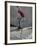 Skateboarder Performing Tricks-null-Framed Photographic Print