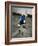 Skateboarder Performing Tricks-null-Framed Photographic Print