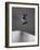 Skateboarder Performing Tricks-null-Framed Photographic Print