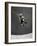 Skateboarder Performing Tricks-null-Framed Photographic Print