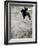 Skateboarder Performing Tricks-null-Framed Photographic Print