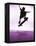 Skateboarder Silhouette-null-Framed Premier Image Canvas