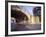 Skater on Frozen Canal, Amsterdam, Netherlands-Michele Molinari-Framed Photographic Print