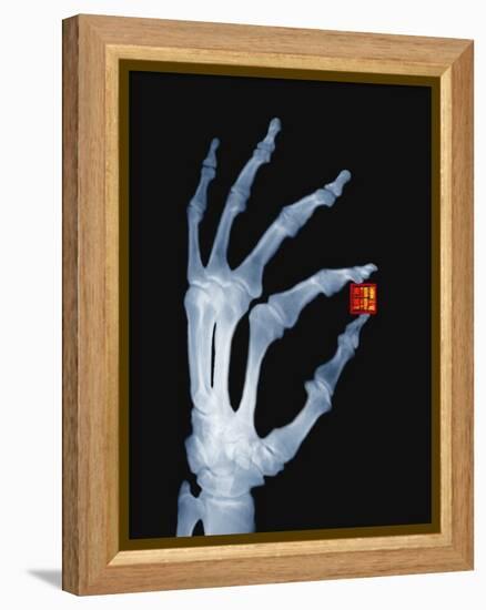 Skeletal Hand Holding Computer Chip-Charles O'Rear-Framed Premier Image Canvas