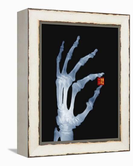 Skeletal Hand Holding Computer Chip-Charles O'Rear-Framed Premier Image Canvas