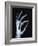 Skeletal Hand Holding Computer Chip-Charles O'Rear-Framed Photographic Print