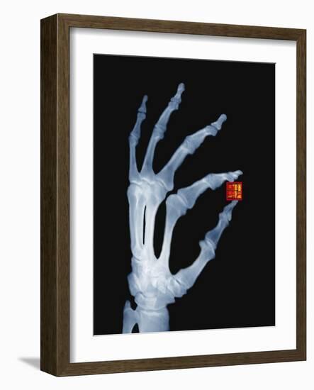 Skeletal Hand Holding Computer Chip-Charles O'Rear-Framed Photographic Print