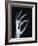 Skeletal Hand Holding Computer Chip-Charles O'Rear-Framed Photographic Print
