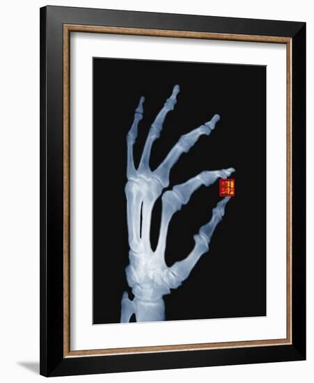 Skeletal Hand Holding Computer Chip-Charles O'Rear-Framed Photographic Print