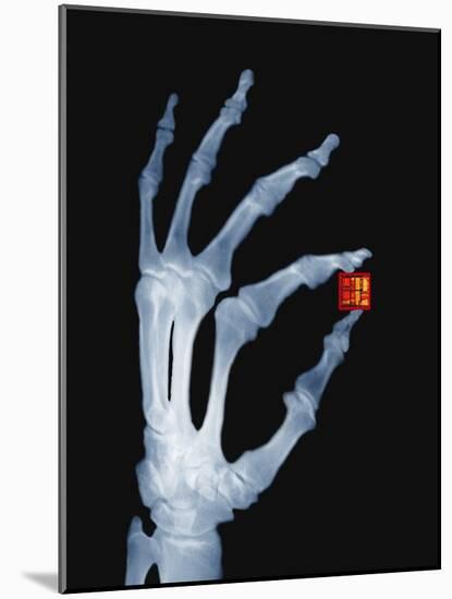 Skeletal Hand Holding Computer Chip-Charles O'Rear-Mounted Photographic Print