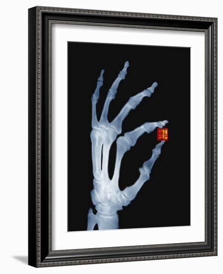 Skeletal Hand Holding Computer Chip-Charles O'Rear-Framed Photographic Print