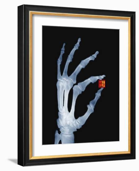 Skeletal Hand Holding Computer Chip-Charles O'Rear-Framed Photographic Print