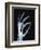 Skeletal Hand Holding Computer Chip-Charles O'Rear-Framed Photographic Print