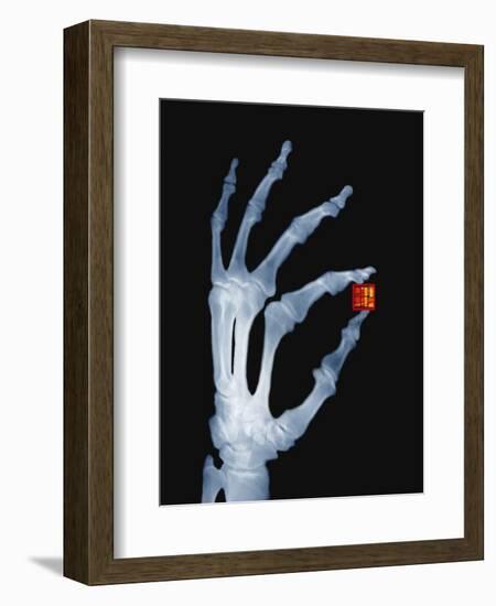 Skeletal Hand Holding Computer Chip-Charles O'Rear-Framed Photographic Print