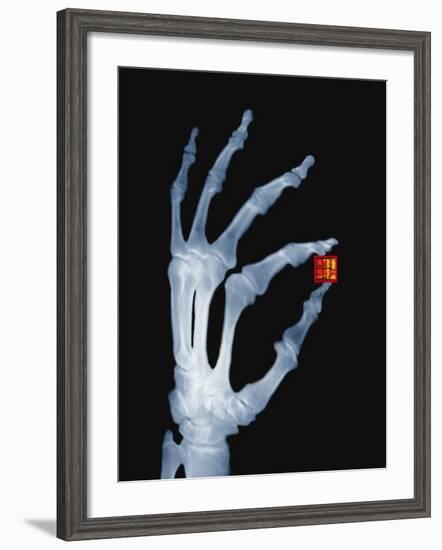 Skeletal Hand Holding Computer Chip-Charles O'Rear-Framed Photographic Print