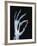 Skeletal Hand Holding Computer Chip-Charles O'Rear-Framed Photographic Print