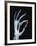 Skeletal Hand Holding Computer Chip-Charles O'Rear-Framed Photographic Print