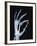 Skeletal Hand Holding Computer Chip-Charles O'Rear-Framed Photographic Print