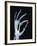 Skeletal Hand Holding Computer Chip-Charles O'Rear-Framed Photographic Print