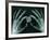 Skeletal Hands Holding Barcode-Thom Lang-Framed Photographic Print