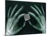 Skeletal Hands Holding Barcode-Thom Lang-Mounted Photographic Print