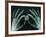 Skeletal Hands Holding Barcode-Thom Lang-Framed Photographic Print