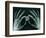 Skeletal Hands Holding Barcode-Thom Lang-Framed Photographic Print