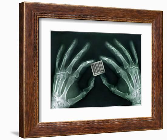 Skeletal Hands Holding Barcode-Thom Lang-Framed Photographic Print