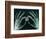 Skeletal Hands Holding Barcode-Thom Lang-Framed Photographic Print