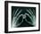 Skeletal Hands Holding Barcode-Thom Lang-Framed Photographic Print