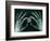 Skeletal Hands Holding Barcode-Thom Lang-Framed Photographic Print