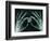 Skeletal Hands Holding Barcode-Thom Lang-Framed Photographic Print