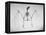 Skeletal Structure of a Bat-Andreas Feininger-Framed Premier Image Canvas