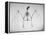 Skeletal Structure of a Bat-Andreas Feininger-Framed Premier Image Canvas