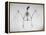 Skeletal Structure of a Bat-Andreas Feininger-Framed Premier Image Canvas