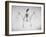 Skeletal Structure of a Bat-Andreas Feininger-Framed Photographic Print