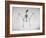 Skeletal Structure of a Bat-Andreas Feininger-Framed Photographic Print