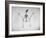 Skeletal Structure of a Bat-Andreas Feininger-Framed Photographic Print