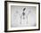 Skeletal Structure of a Bat-Andreas Feininger-Framed Photographic Print